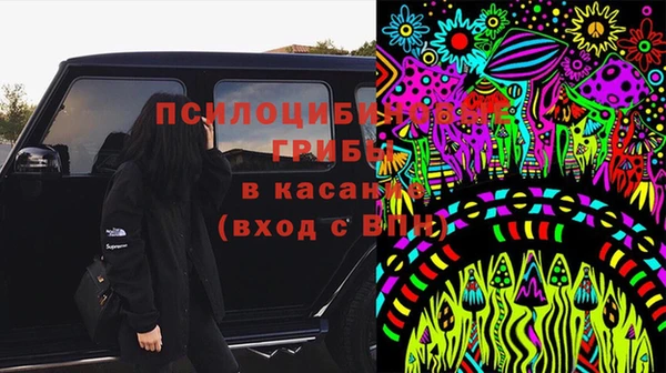 первитин Алексин