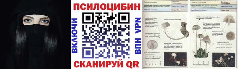 Галлюциногенные грибы Magic Shrooms  Саров 